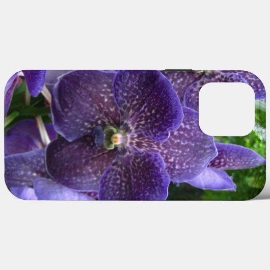Paarse Vanda iPhone 13 Pro Max Hoesje (Achterkant (horizontaal))