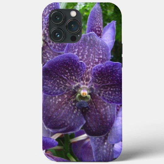 Paarse Vanda iPhone 13 Pro Max Hoesje (Achterkant)