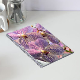 Paarse Vanda Orchideeën Bloemen Notitieboek