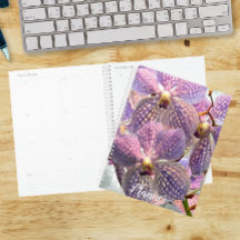 Paarse Vanda Orchideeën Bloemen