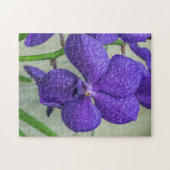 Paarse vanda orchideeën puzzel (Horizontaal)