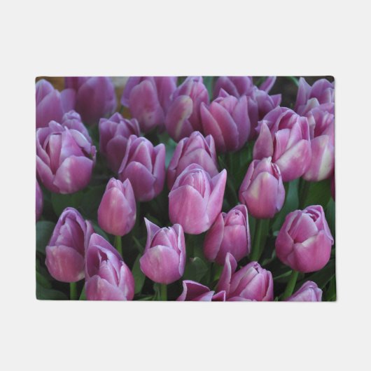 Paarse veertulpen deurmat (Voorkant)