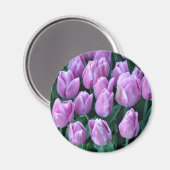 Paarse veertulpen magneet (Voorkant / Achterkant)