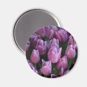 Paarse veertulpen magneet (Voorkant / Achterkant)