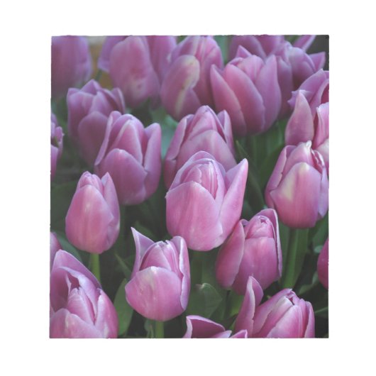 Paarse veertulpen notitieblok (Voorkant)