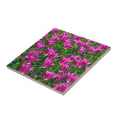 Paarse veertulpen tegeltje (Zijkant)