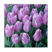 Paarse veertulpen tegeltje (Voorkant)
