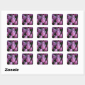 Paarse veertulpen vierkante sticker (Vel)