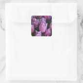 Paarse veertulpen vierkante sticker (Tas)