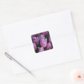 Paarse veertulpen vierkante sticker (Envelop)