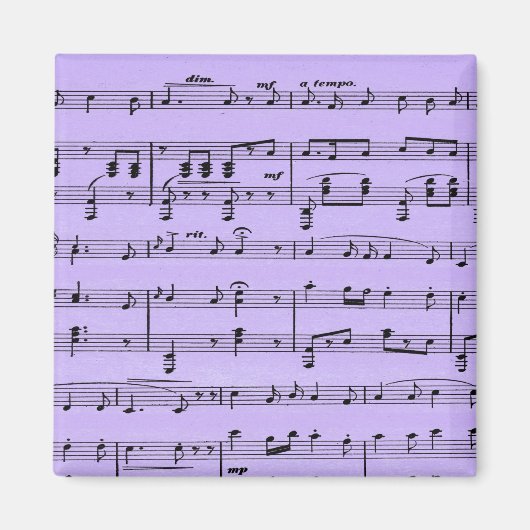 Paarse vel muziek magneet (Voorkant)