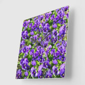 Paarse veld, vierkante klok (Hoek)