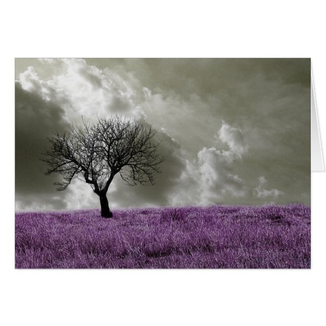 Paarse velden (Voorkant Horizontaal)