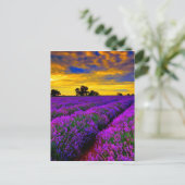 Paarse velden briefkaart (Staand voorkant)