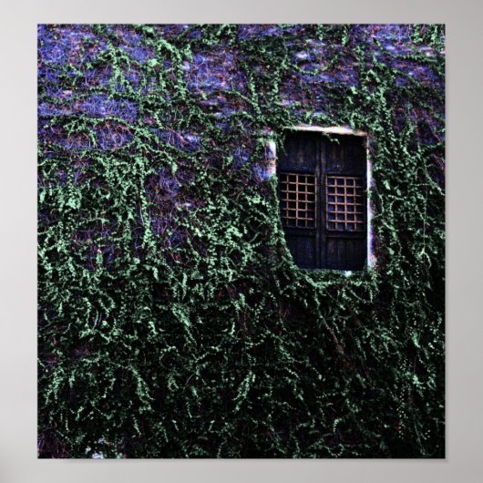 Paarse venster ~ Poster / Afdrukken (Voorkant)