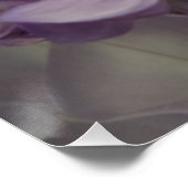 Paarse ventilator 20 x 20 inch, Poster papier, hal (Hoek)