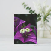 Paarse ventilator briefkaart (Staand voorkant)