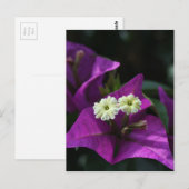 Paarse ventilator briefkaart (Voorkant / Achterkant)