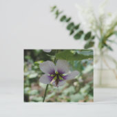 Paarse ventilator briefkaart (Staand voorkant)