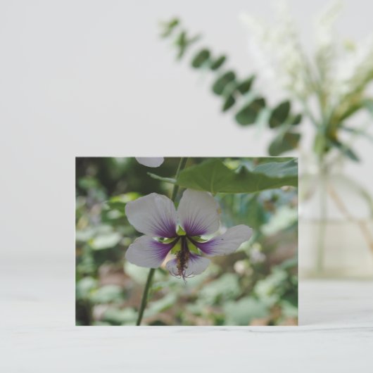 Paarse ventilator briefkaart (Staand voorkant)