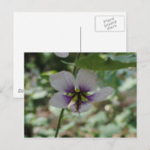 Paarse ventilator briefkaart (Voorkant / Achterkant)