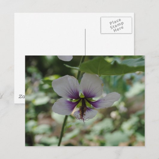 Paarse ventilator briefkaart (Voorkant / Achterkant)