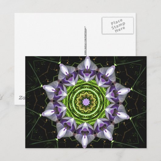 Paarse ventilator briefkaart (Voorkant / Achterkant)