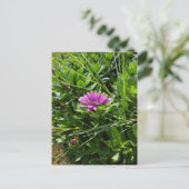 Paarse ventilator briefkaart (Staand voorkant)