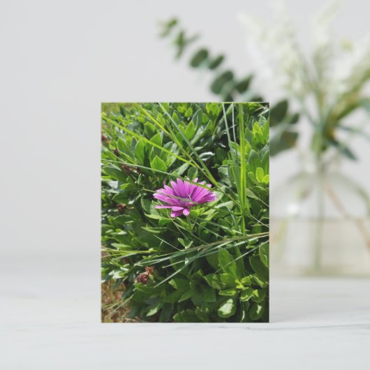 Paarse ventilator briefkaart (Staand voorkant)