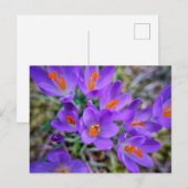 Paarse ventilator briefkaart (Voorkant / Achterkant)