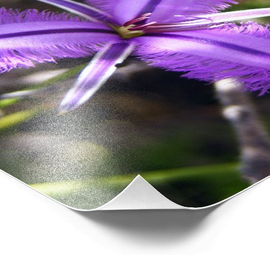 Paarse ventilator foto afdruk (Hoek)