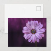 Paarse ventilator in Bloom Briefkaart (Voorkant / Achterkant)