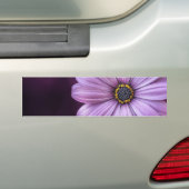 Paarse ventilator in Bloom Bumpersticker (Op auto)