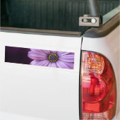 Paarse ventilator in Bloom Bumpersticker (Op Truck)