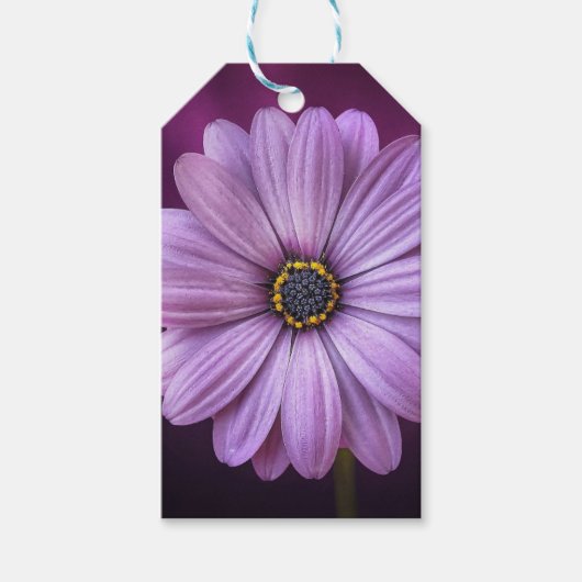 Paarse ventilator in Bloom Cadeaulabel (Voorkant)