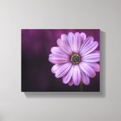 Paarse ventilator in Bloom Canvas Afdruk (Voorkant)