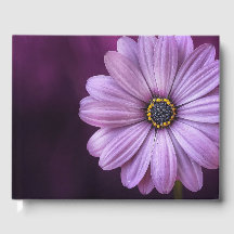 Paarse ventilator in Bloom