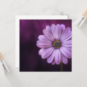 Paarse ventilator in Bloom Kaart (Voorkant / Achterkant in situ)