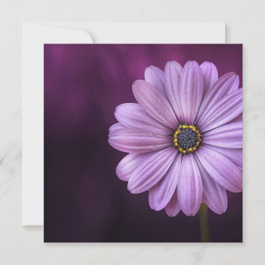 Paarse ventilator in Bloom Kaart (Voorkant)