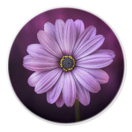 Paarse ventilator in Bloom Keramische Knop