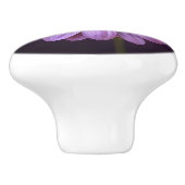 Paarse ventilator in Bloom Keramische Knop (Zijkant)