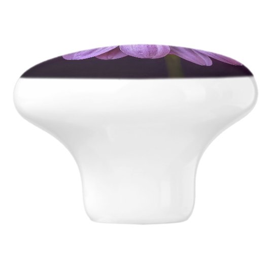 Paarse ventilator in Bloom Keramische Knop (Zijkant)