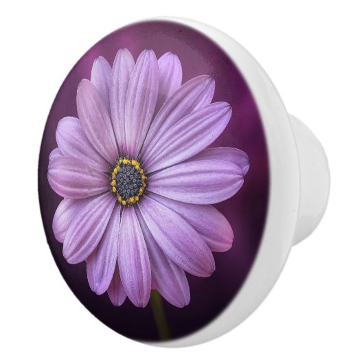 Paarse ventilator in Bloom Keramische Knop (Rechts)