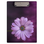 Paarse ventilator in Bloom Klembord (Voorkant)