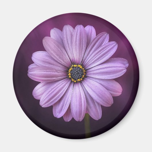 Paarse ventilator in Bloom Magneet (Voorkant)