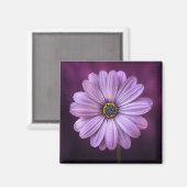 Paarse ventilator in Bloom Magneet (Voorkant / Achterkant)