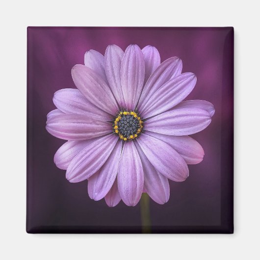 Paarse ventilator in Bloom Magneet (Voorkant)