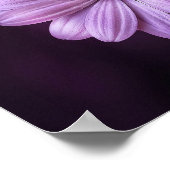 Paarse ventilator in Bloom Poster (Hoek)