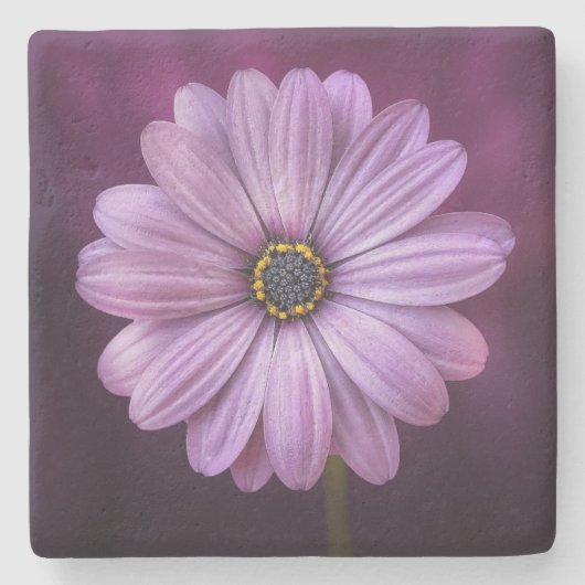 Paarse ventilator in Bloom Stenen Onderzetter (Voorkant)