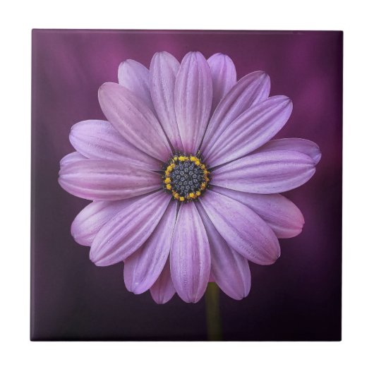 Paarse ventilator in Bloom Tegeltje (Voorkant)